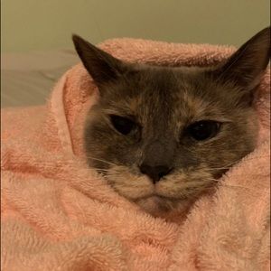 Meet your Posher, Chloe